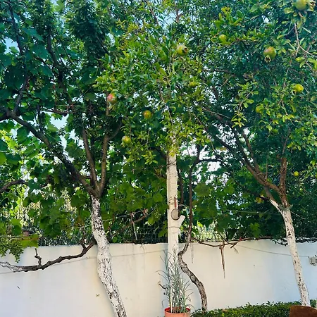 An Unforgettable Holiday home