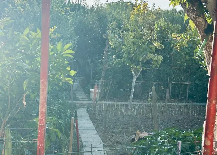 An Unforgettable * Polisi i Vogel