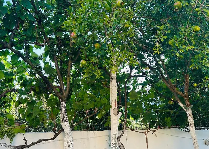 An Unforgettable Holiday home